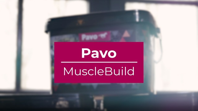 Pavo Musclebuild Navulling Supplement - Paardenvoer - Welkoop