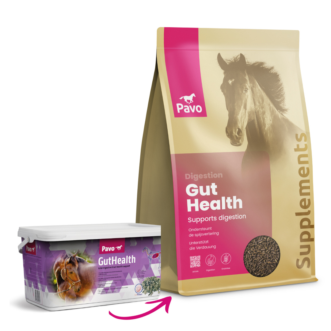 Pavo GutHealth_4.5KG Pavo GutHealth_4.5KG_Ondersteunt een gezonde spijsvertering