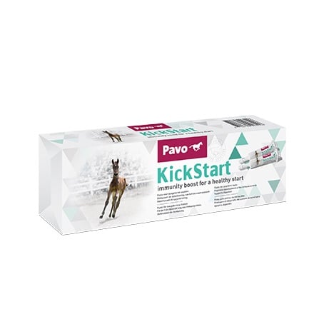 Pavo KickStart_nullKG_Immunpaste für Fohlen zur Stärkung des Immunsystems