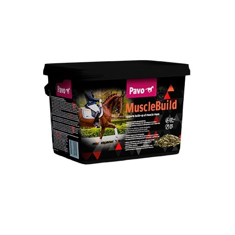 Pavo MuscleBuild_3KG_STØTTER HURTIG OPBYGNING AF MUSKLER