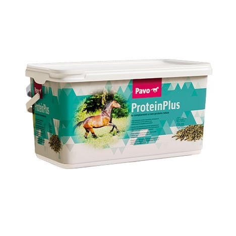 Pavo ProteinPlus_7KG_Et fodertilskud til proteinmangel