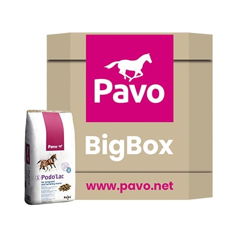 Pavo Podo®Lac Pellets_725KG_Pellets für tragende und laktierende Stuten