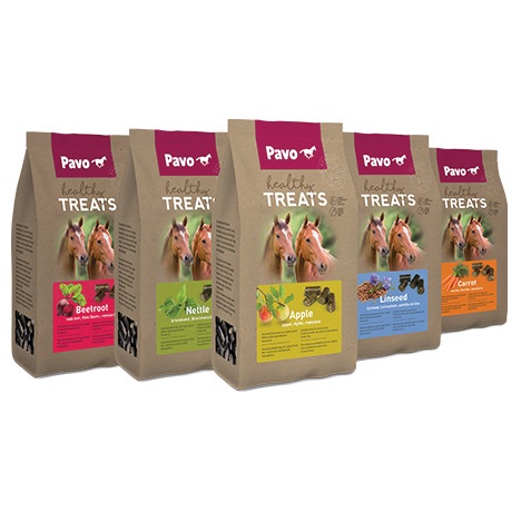 Healthy Treats - Gulerod_1KG_SUNDE OG SMAGFULDE GODBIDDER TIL HESTE