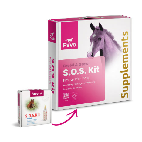 Pavo SOS Kit_3KG_Erste Hilfe für Fohlen