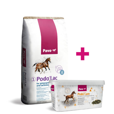 Pavo Podo®Bundle Image #1