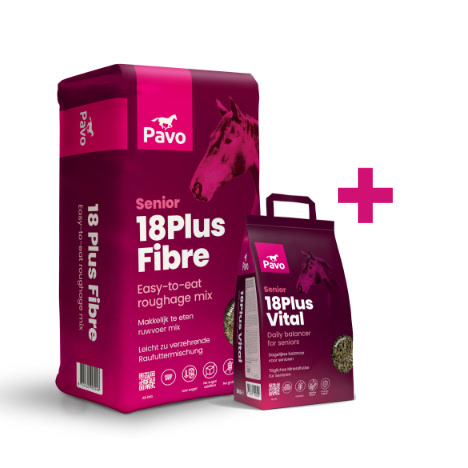 Pavo SeniorCompleteBundle Image #1